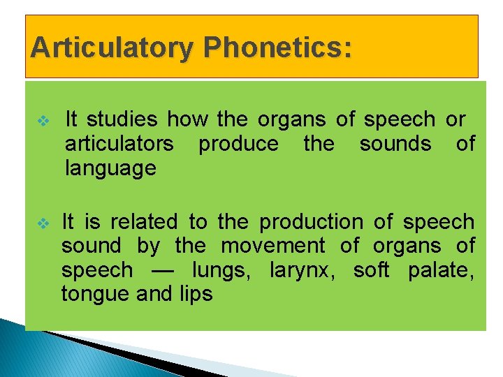 Articulatory Phonetics: v It studies how the organs of speech or articulators produce the