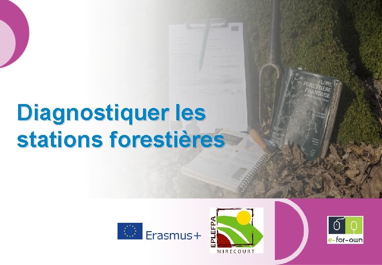 Diagnostiquer les stations forestières 