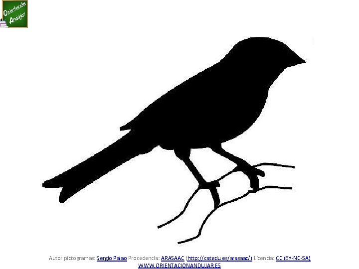 Autor pictogramas: Sergio Palao Procedencia: ARASAAC (http: //catedu. es/arasaac/) Licencia: CC (BY-NC-SA) WWW. ORIENTACIONANDUJAR.