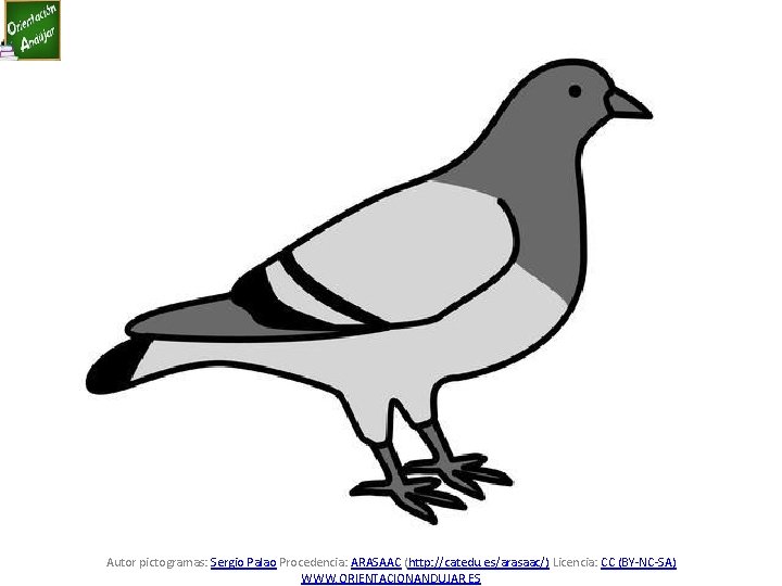 Autor pictogramas: Sergio Palao Procedencia: ARASAAC (http: //catedu. es/arasaac/) Licencia: CC (BY-NC-SA) WWW. ORIENTACIONANDUJAR.