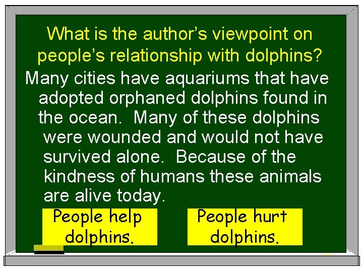 What is the author’s viewpoint on people’s relationship with dolphins? Many cities have aquariums