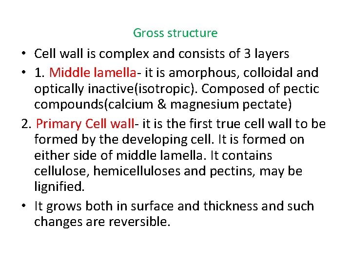 Gross structure • Cell wall is complex and consists of 3 layers • 1.