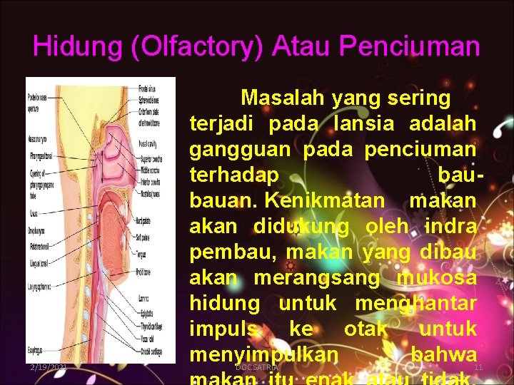 Hidung (Olfactory) Atau Penciuman 2/19/2021 Masalah yang sering terjadi pada lansia adalah gangguan pada