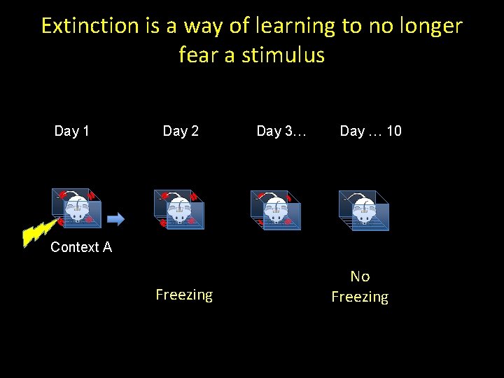 Extinction is a way of learning to no longer fear a stimulus Day 1