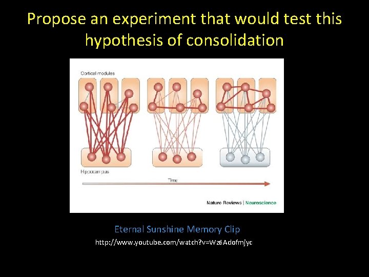 Propose an experiment that would test this hypothesis of consolidation Eternal Sunshine Memory Clip