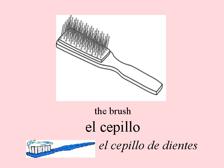 the brush el cepillo de dientes 