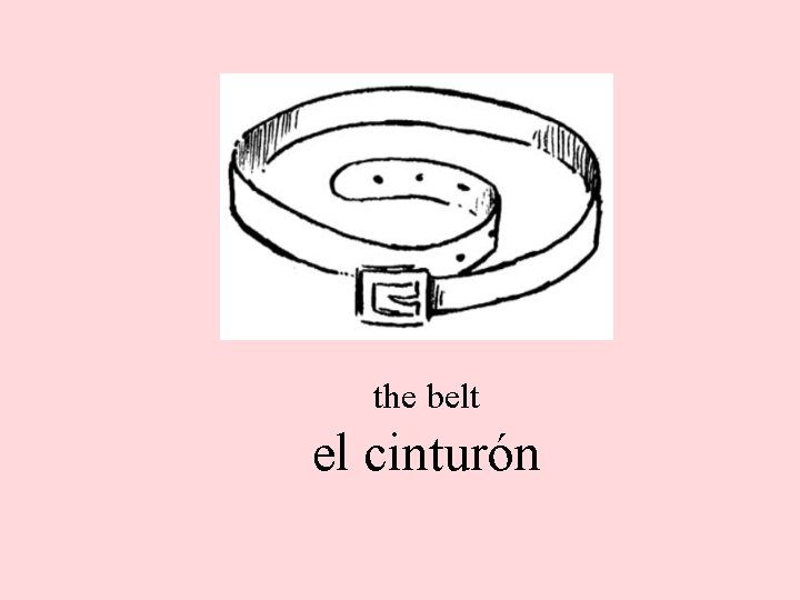 the belt el cinturón 
