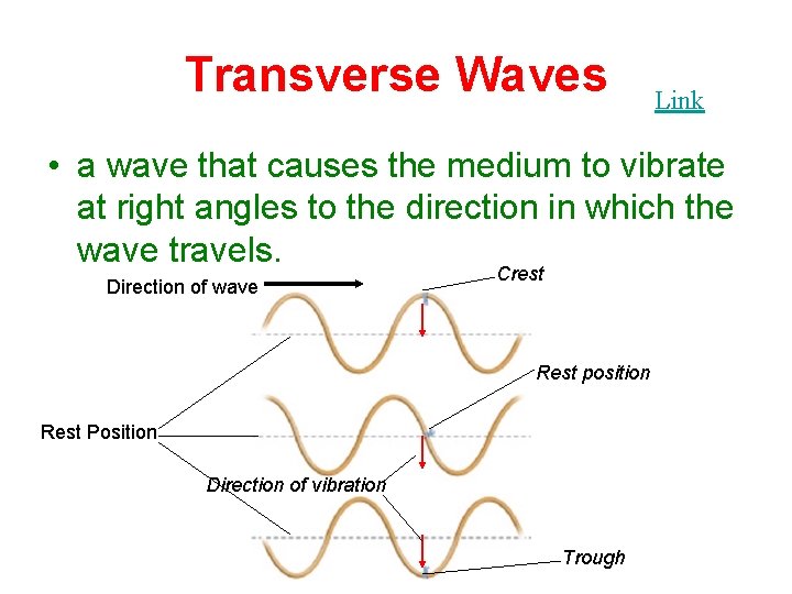 Transverse Waves Link • a wave that causes the medium to vibrate at right