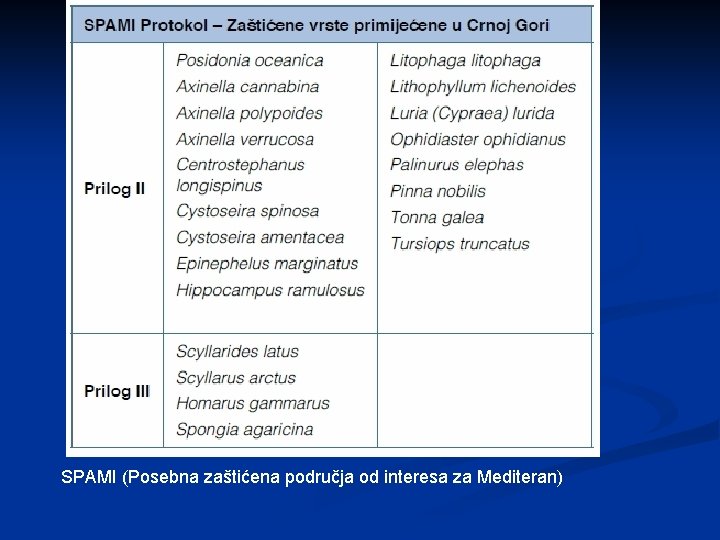 SPAMI (Posebna zaštićena područja od interesa za Mediteran) 