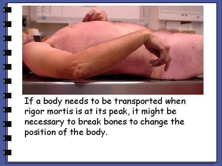 If a body needs to be transported when rigor mortis is at its peak,