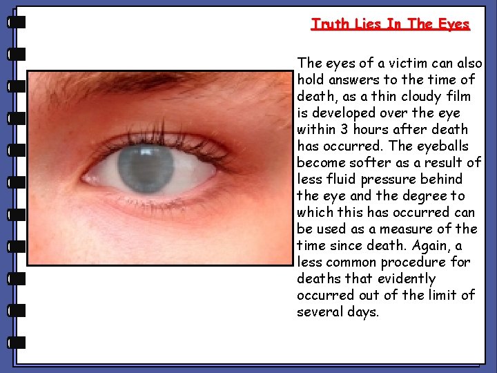 Truth Lies In The Eyes The eyes of a victim can also hold answers