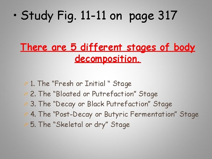  • Study Fig. 11 -11 on page 317 There are 5 different stages