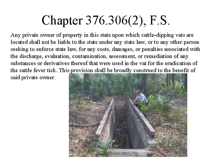 Chapter 376. 306(2), F. S. Any private owner of property in this state upon
