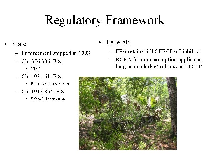 Regulatory Framework • State: – Enforcement stopped in 1993 – Ch. 376. 306, F.
