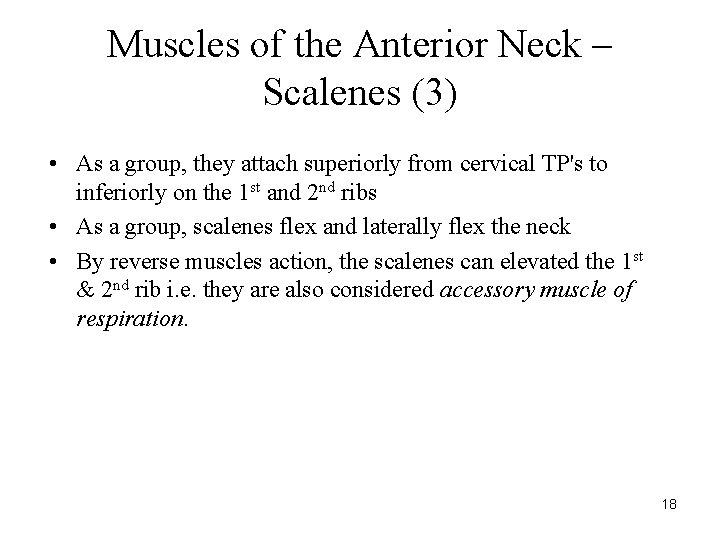 Muscles of the Anterior Neck – Scalenes (3) • As a group, they attach