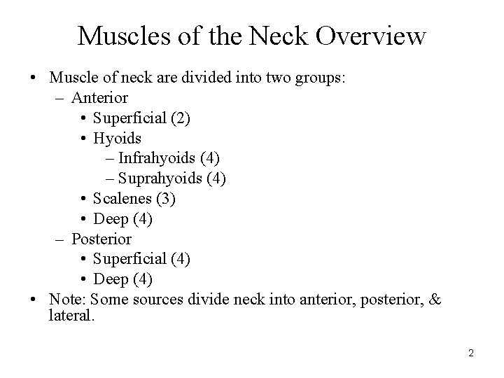 Muscles of the Neck Overview • Muscle of neck are divided into two groups: