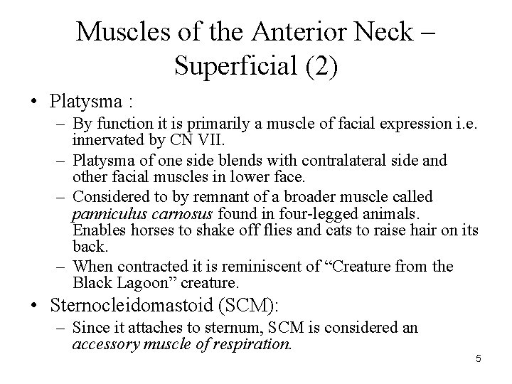 Muscles of the Anterior Neck – Superficial (2) • Platysma : – By function