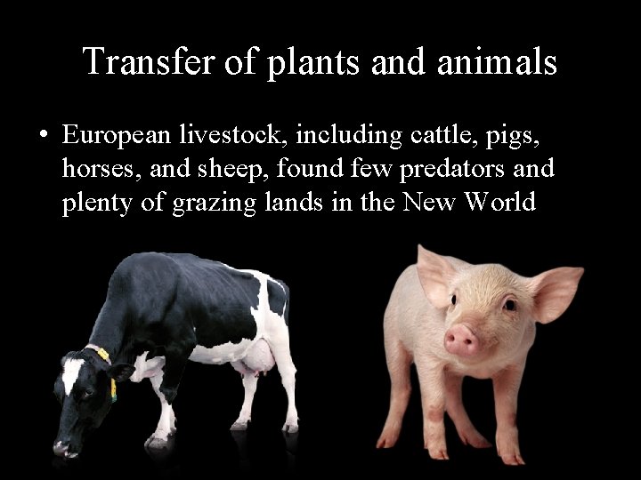 Transfer of plants and animals • European livestock, including cattle, pigs, horses, and sheep,