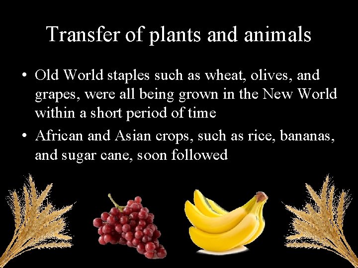 Transfer of plants and animals • Old World staples such as wheat, olives, and
