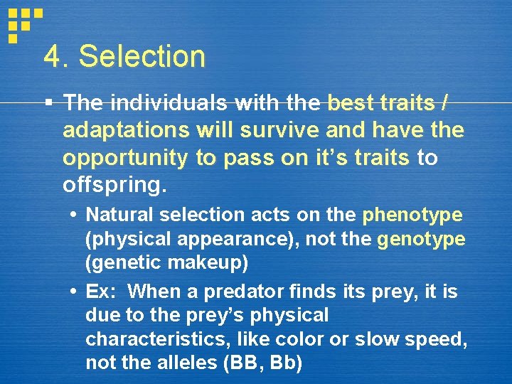 4. Selection § The individuals with the best traits / adaptations will survive and