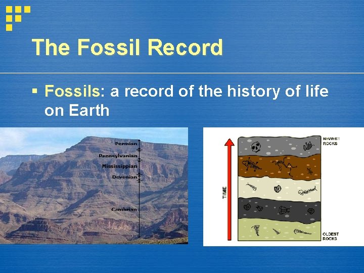 The Fossil Record § Fossils: Fossils a record of the history of life on