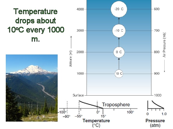 Temperature drops about 10 o. C every 1000 m. 