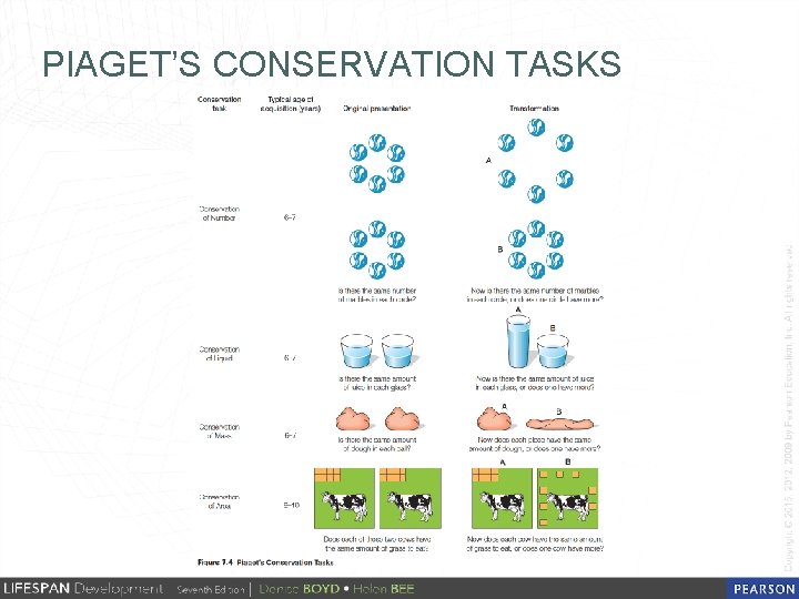 PIAGET’S CONSERVATION TASKS 