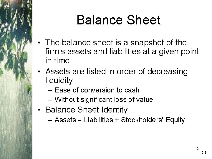 Balance Sheet • The balance sheet is a snapshot of the firm’s assets and