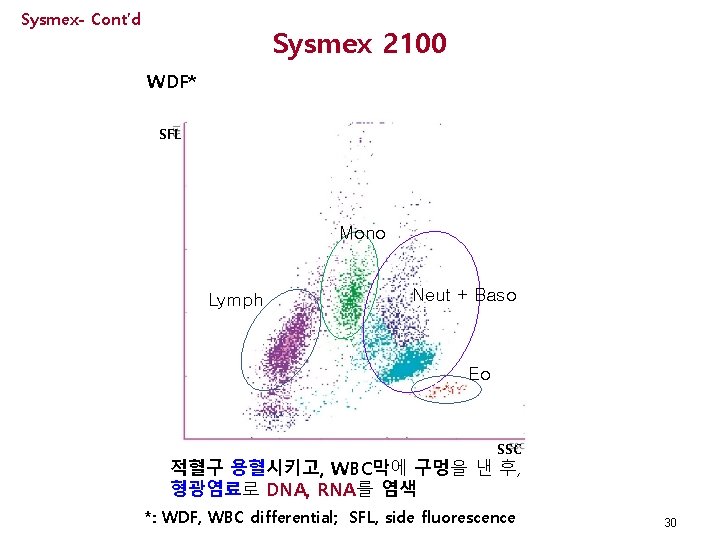 Sysmex- Cont’d Sysmex 2100 WDF* SFL Mono Lymph Neut + Baso Eo Eo SSC