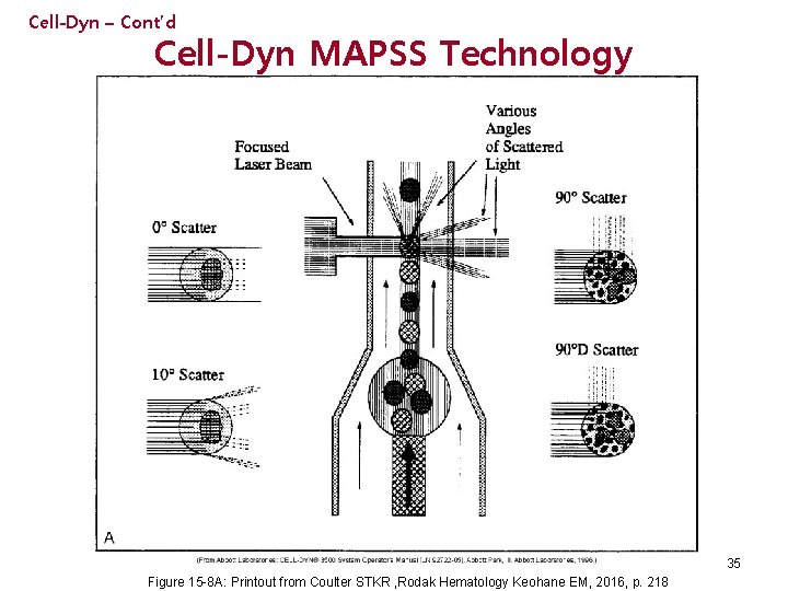 Cell-Dyn – Cont’d Cell-Dyn MAPSS Technology 35 Figure 15 -8 A: Printout from Coulter