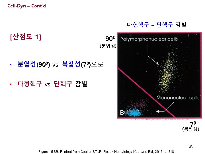 Cell-Dyn – Cont’d 다형핵구 – 단핵구 감별 [산점도 1] 900 (분엽성) • 분엽성(900) vs.