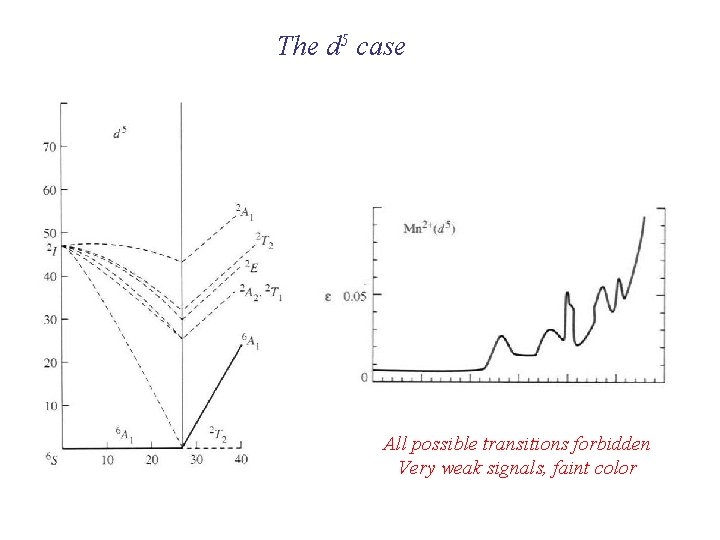 The d 5 case All possible transitions forbidden Very weak signals, faint color The d 5 case All possible transitions forbidden Very weak signals, faint color