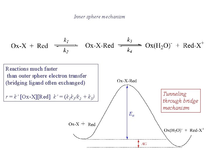 Inner sphere mechanism Reactions much faster than outer sphere electron transfer (bridging ligand often Inner sphere mechanism Reactions much faster than outer sphere electron transfer (bridging ligand often
