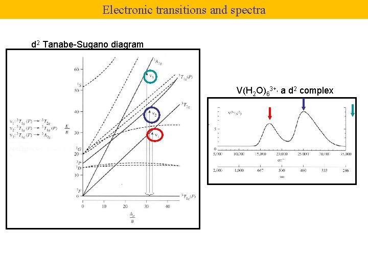 Electronic transitions and spectra d 2 Tanabe-Sugano diagram V(H 2 O)63+, a d 2 Electronic transitions and spectra d 2 Tanabe-Sugano diagram V(H 2 O)63+, a d 2