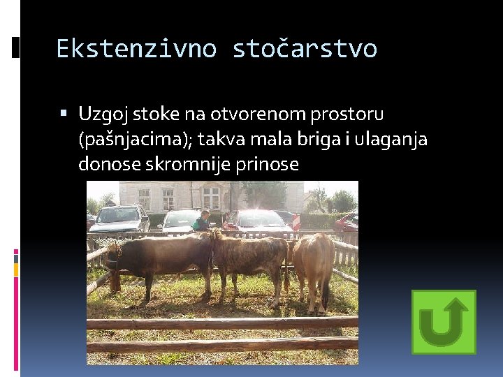 Ekstenzivno stočarstvo Uzgoj stoke na otvorenom prostoru (pašnjacima); takva mala briga i ulaganja donose Ekstenzivno stočarstvo Uzgoj stoke na otvorenom prostoru (pašnjacima); takva mala briga i ulaganja donose