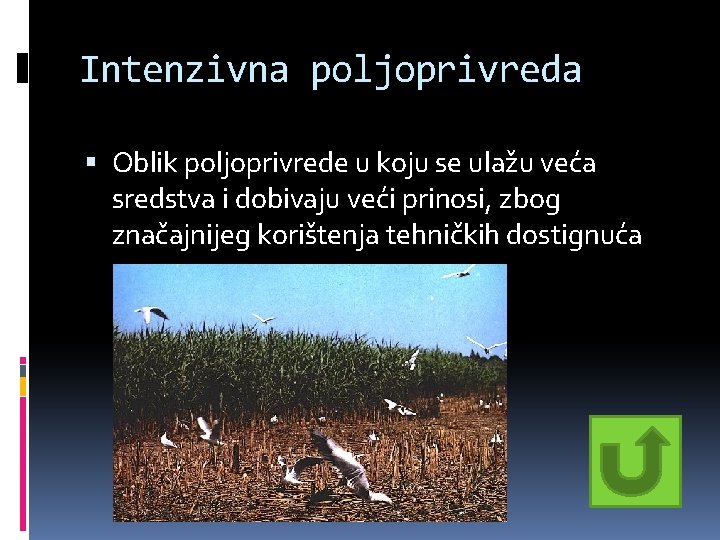 Intenzivna poljoprivreda Oblik poljoprivrede u koju se ulažu veća sredstva i dobivaju veći prinosi, Intenzivna poljoprivreda Oblik poljoprivrede u koju se ulažu veća sredstva i dobivaju veći prinosi,