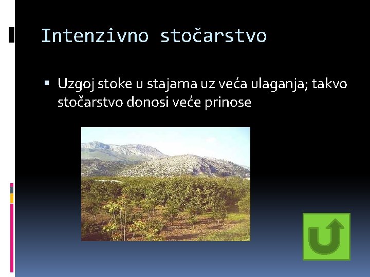 Intenzivno stočarstvo Uzgoj stoke u stajama uz veća ulaganja; takvo stočarstvo donosi veće prinose Intenzivno stočarstvo Uzgoj stoke u stajama uz veća ulaganja; takvo stočarstvo donosi veće prinose