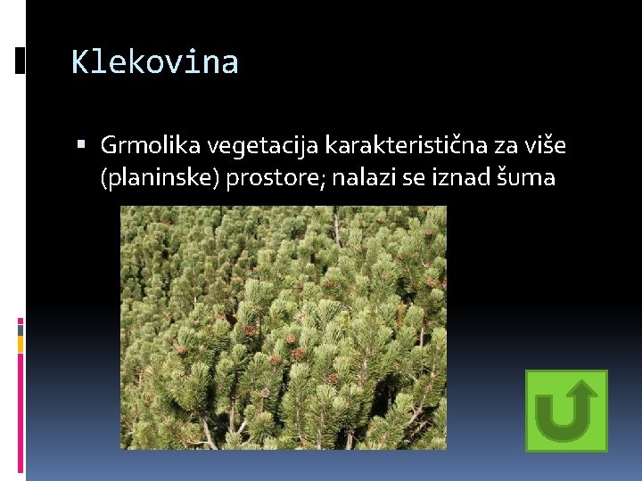 Klekovina Grmolika vegetacija karakteristična za više (planinske) prostore; nalazi se iznad šuma Klekovina Grmolika vegetacija karakteristična za više (planinske) prostore; nalazi se iznad šuma