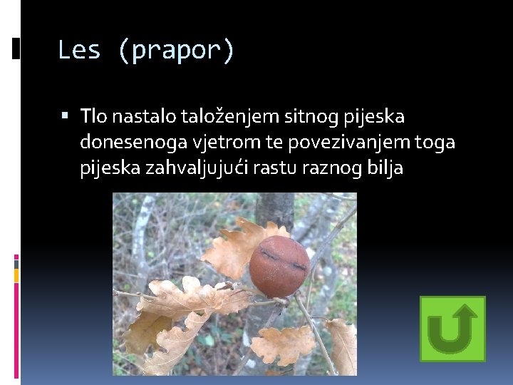 Les (prapor) Tlo nastaloženjem sitnog pijeska donesenoga vjetrom te povezivanjem toga pijeska zahvaljujući rastu Les (prapor) Tlo nastaloženjem sitnog pijeska donesenoga vjetrom te povezivanjem toga pijeska zahvaljujući rastu