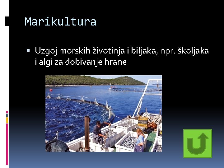 Marikultura Uzgoj morskih životinja i biljaka, npr. školjaka i algi za dobivanje hrane Marikultura Uzgoj morskih životinja i biljaka, npr. školjaka i algi za dobivanje hrane