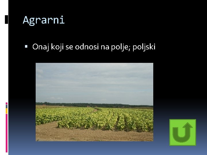 Agrarni Onaj koji se odnosi na polje; poljski Agrarni Onaj koji se odnosi na polje; poljski