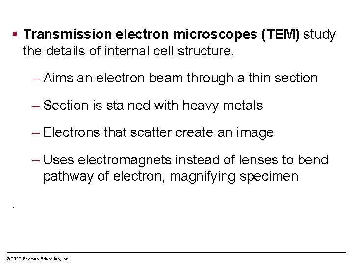 § Transmission electron microscopes (TEM) study the details of internal cell structure. – Aims