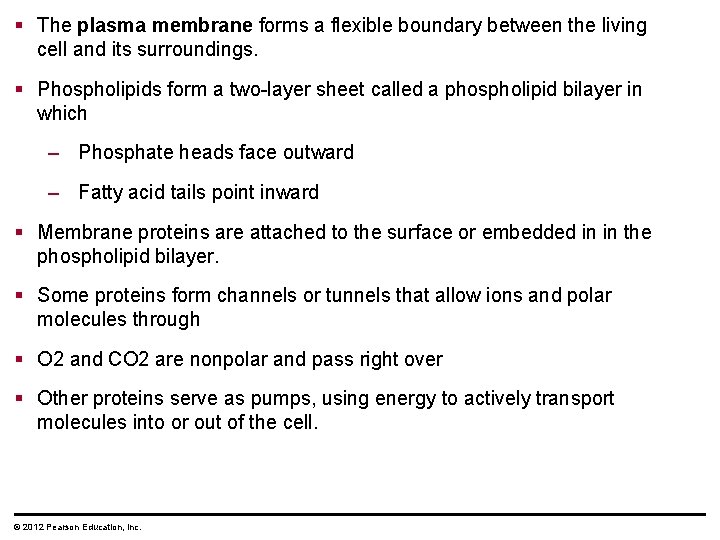 § The plasma membrane forms a flexible boundary between the living cell and its