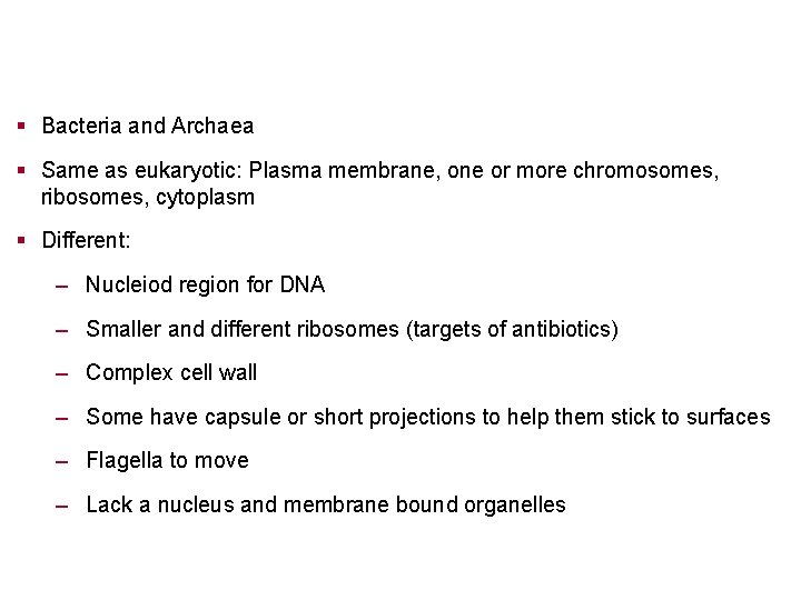 § Bacteria and Archaea § Same as eukaryotic: Plasma membrane, one or more chromosomes,