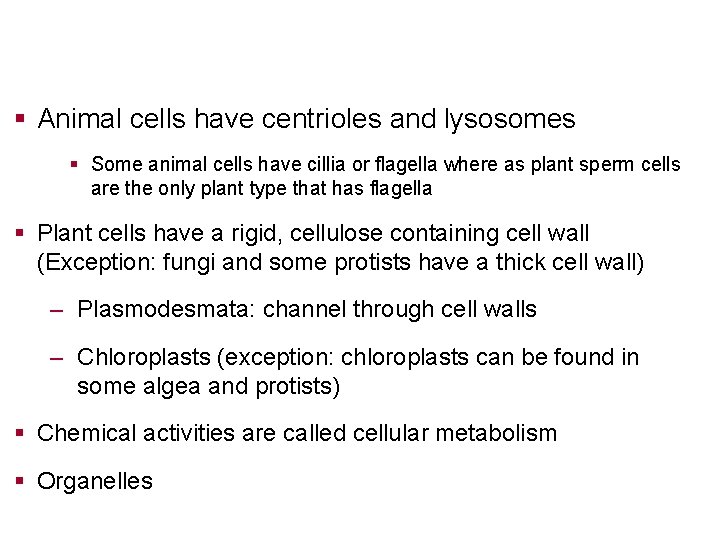 § Animal cells have centrioles and lysosomes § Some animal cells have cillia or