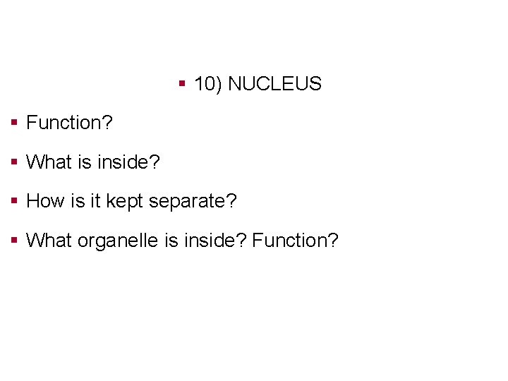 § 10) NUCLEUS § Function? § What is inside? § How is it kept
