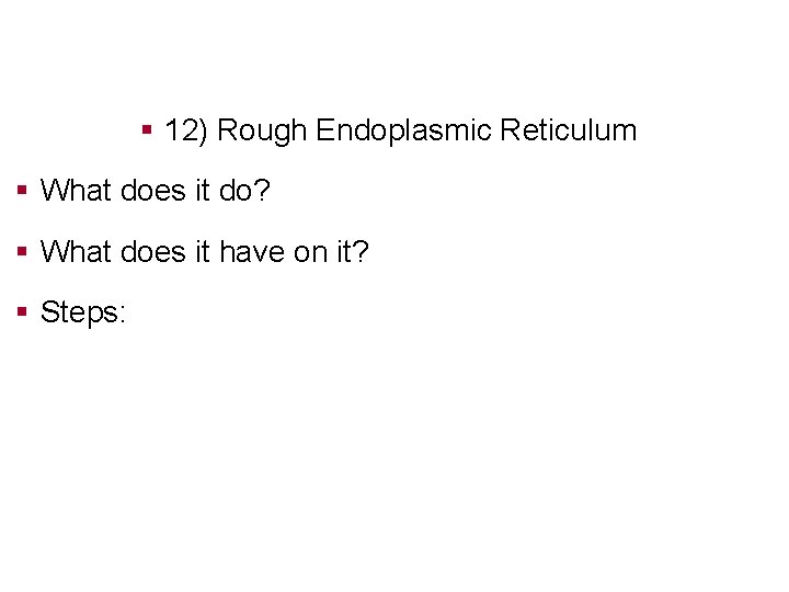 § 12) Rough Endoplasmic Reticulum § What does it do? § What does it