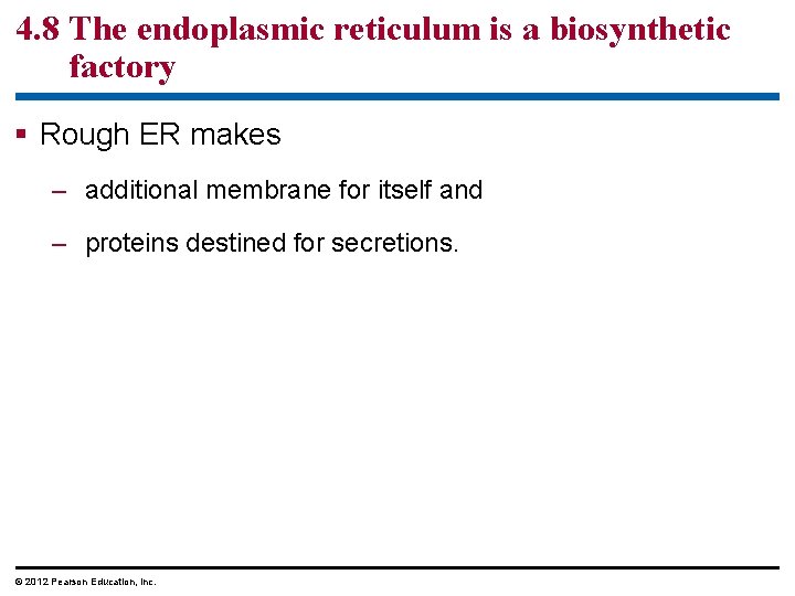 4. 8 The endoplasmic reticulum is a biosynthetic factory § Rough ER makes – 4. 8 The endoplasmic reticulum is a biosynthetic factory § Rough ER makes –