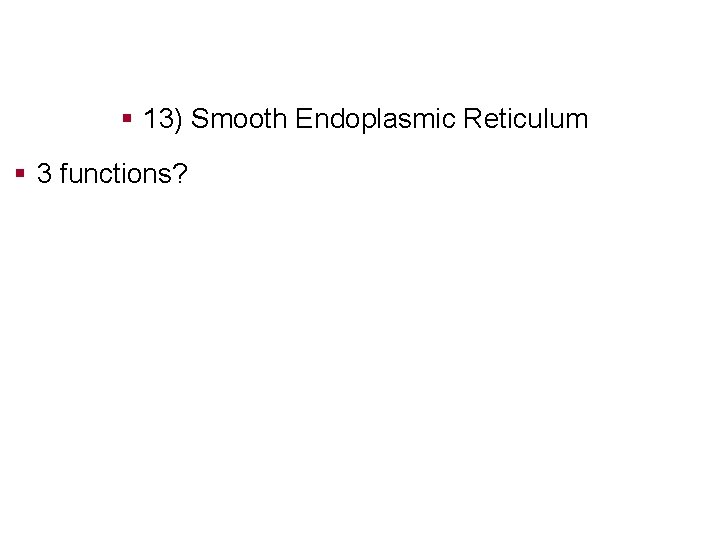 § 13) Smooth Endoplasmic Reticulum § 3 functions? 