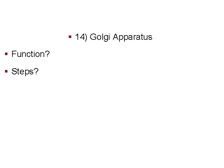 § 14) Golgi Apparatus § Function? § Steps? 